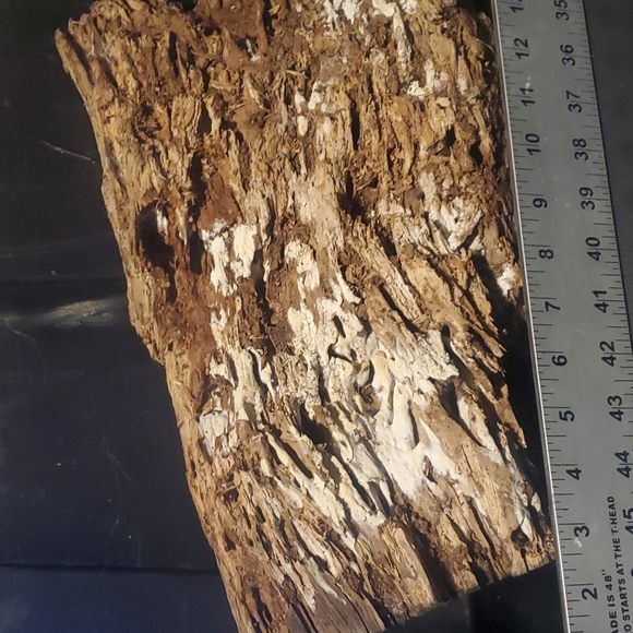 Very cool large holey wood piece for Terrarium, decor, art, crafts etc! - Picture 3 of 8